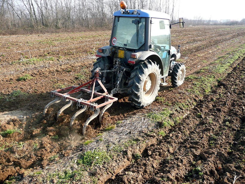 lavorazione terreno asparago