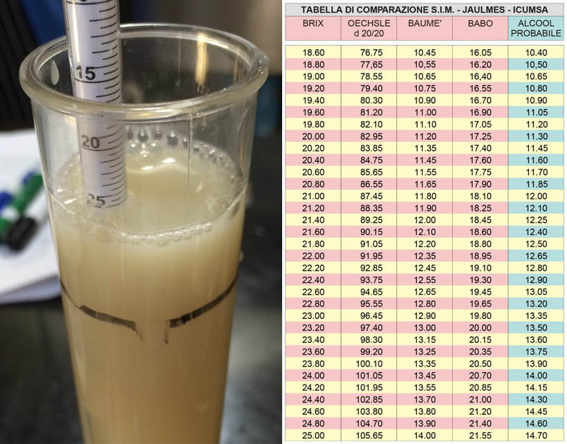 Mostimetro babo e alcool potenziale