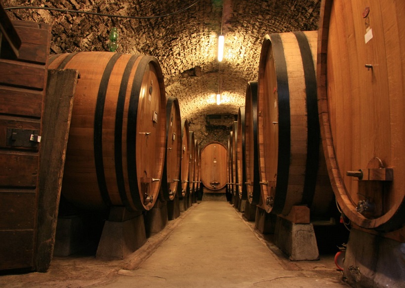 cantine murgia vino