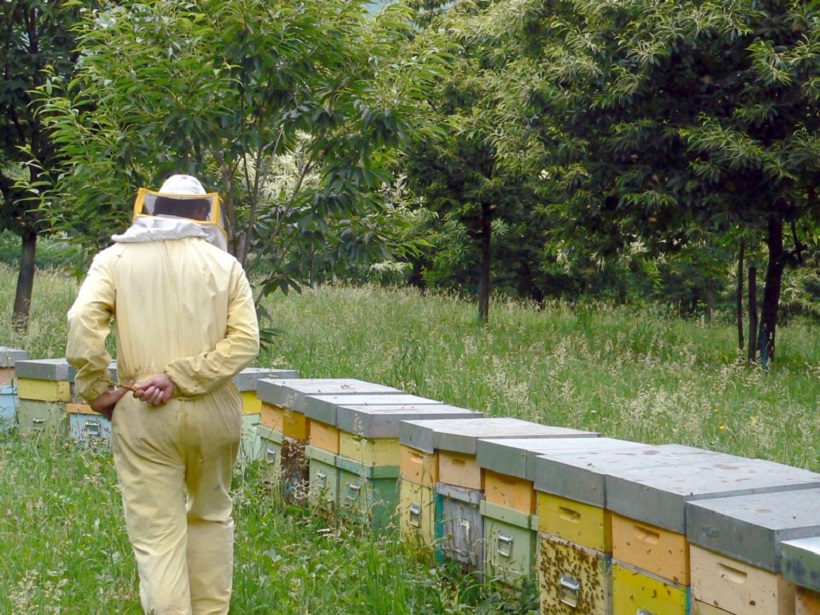 miele api emilia romagna finanziamenti