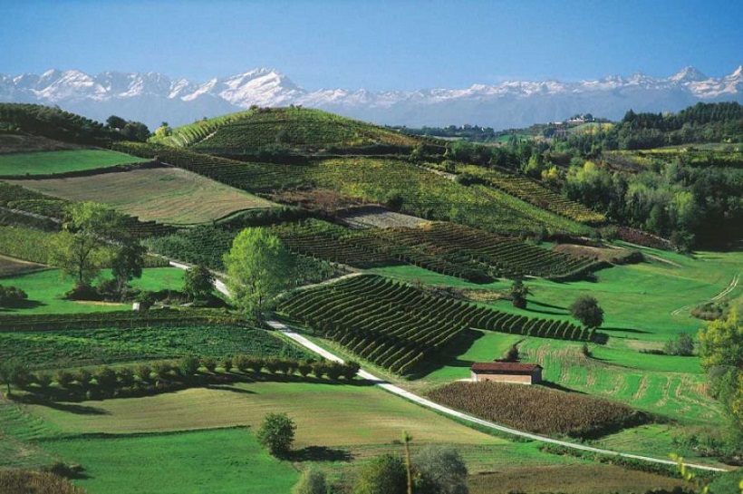 Colline novaresi