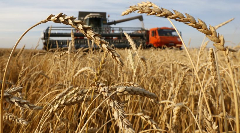 grano fondo aiuti agricoltori