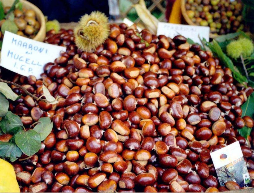 castagne marroni mugello igp