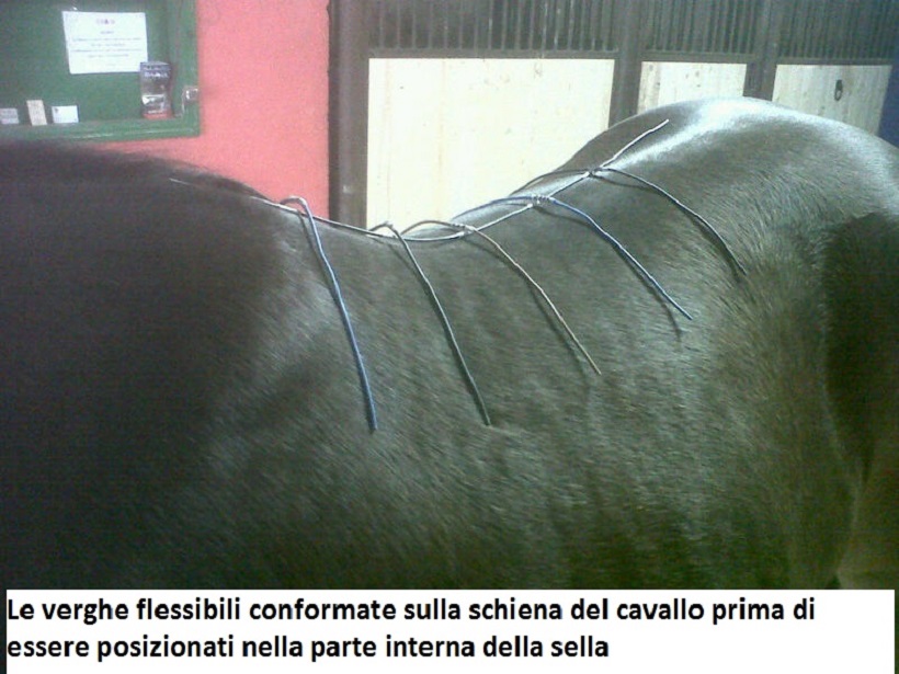 sella cavallo comprare