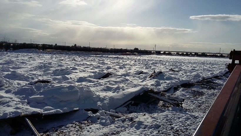 vigneti vino uva gelo neve danni sud agricoltura gelo