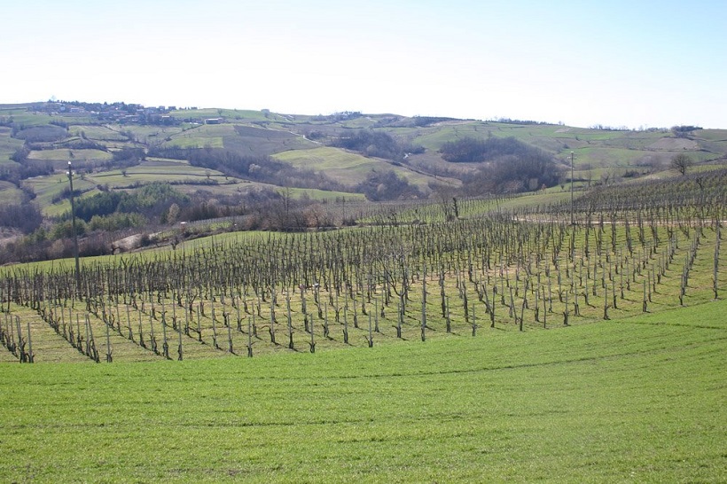 oltrepo vino cantina la versa laversa