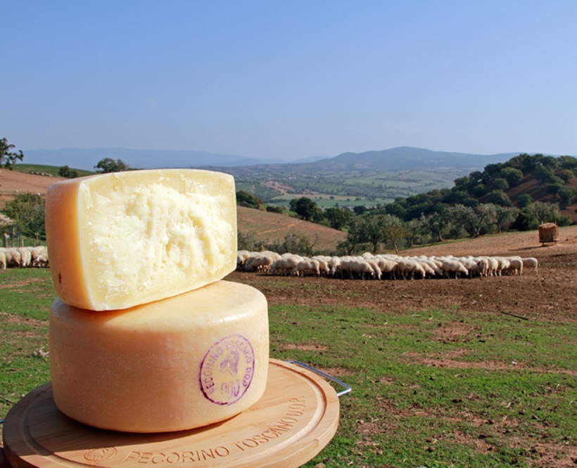 Pecorino Toscano (foto Consorzio Pecorino Toscano DOP)