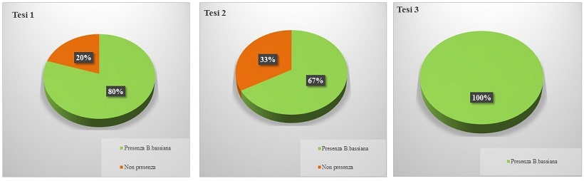 grafico punteruolo toscana