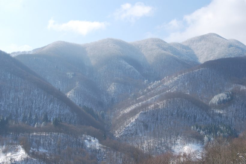 boschi Rasora Castiglione dei Pepoli Bologna appennino bolognese neve foresta