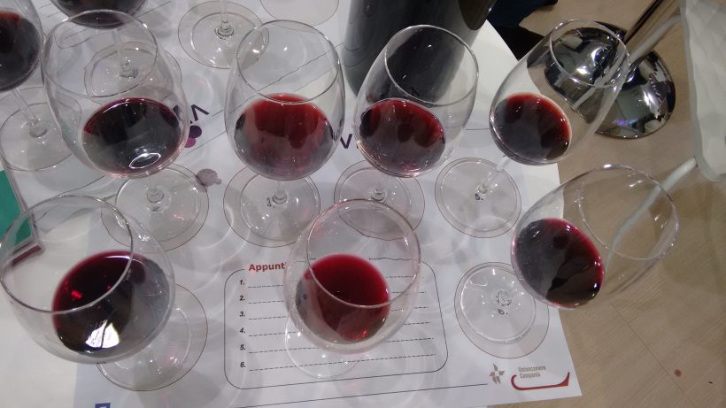 aglianico aglianicone vino vitigno uva vinitaly