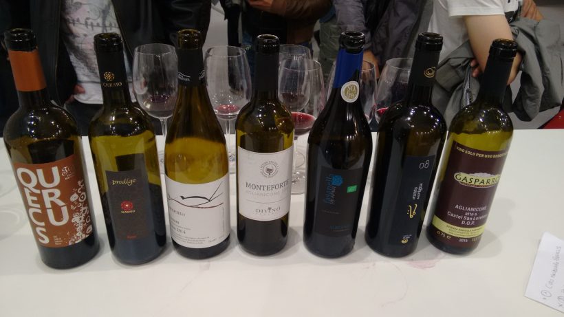 aglianicone vino vitigno vinitaly 2017 uva campania