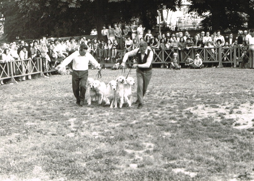 allevamento cani ring onore expo canina anni 70