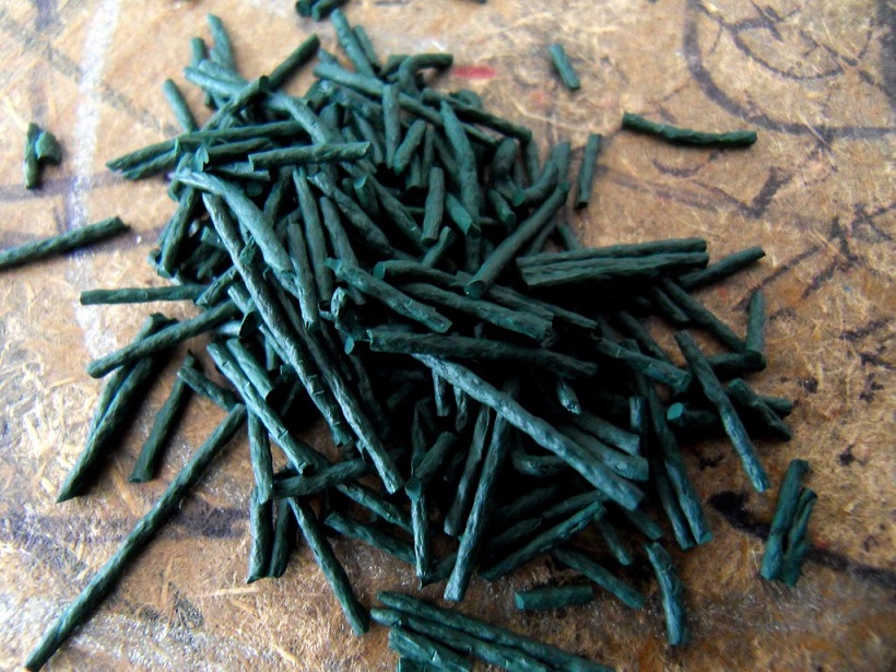 Alga spirulina