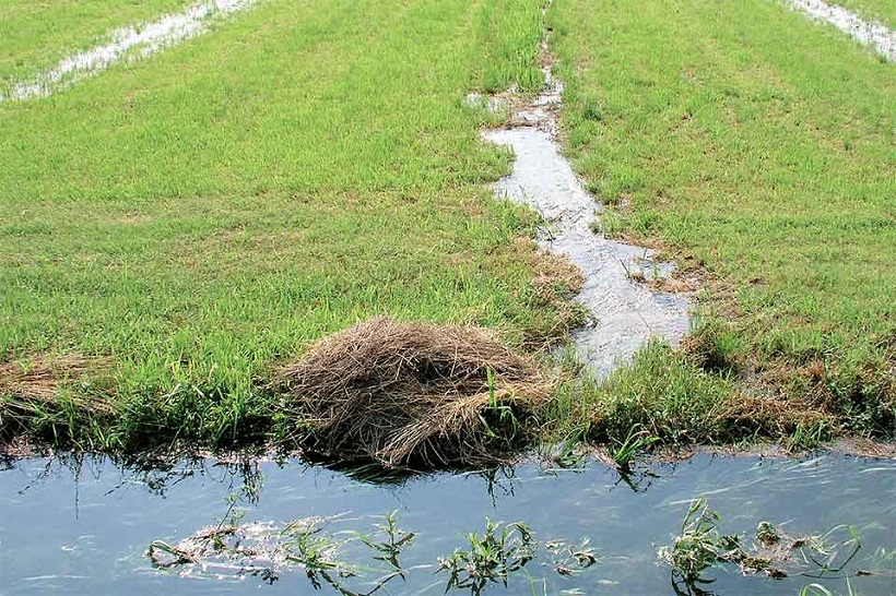 irrigazione acqua campo agricoltura terra scorrimento fosso