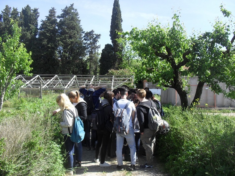 classi scuola formazione agrario agricoltura agronomi firenze