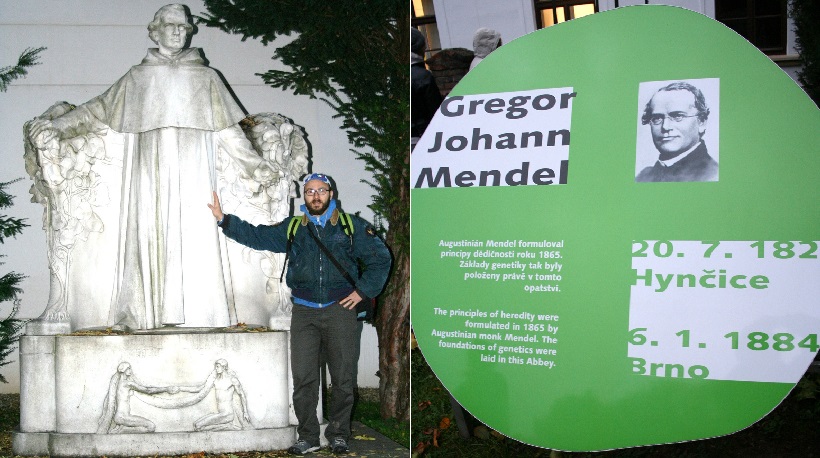 mendel omozigosi scoperta genetica