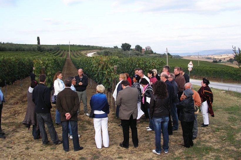 visita cantina vigneto vino vigna