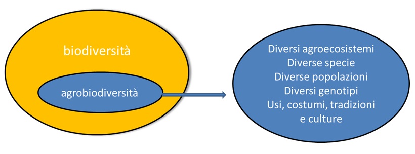 biodiversità agricoltura