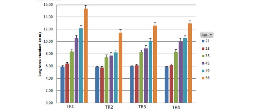 grafici allevamento pesce