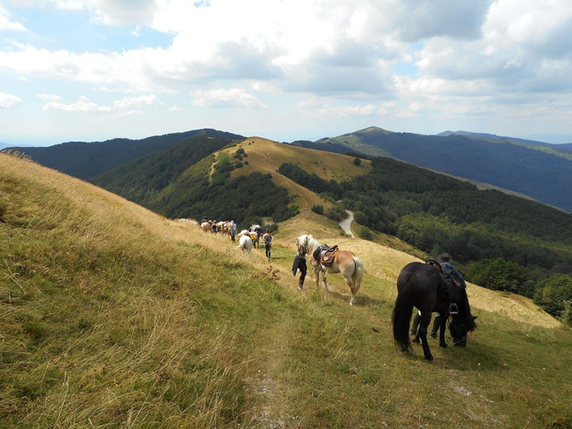 trekking cavallo escursione