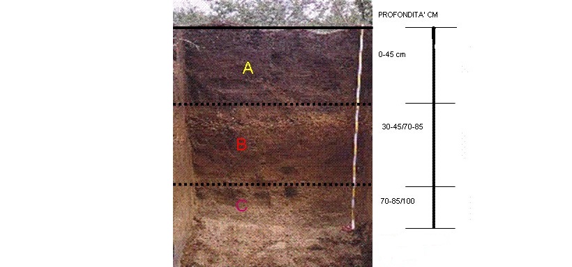 suolo orizzonte analisi