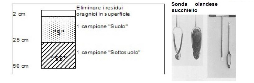 campione suolo