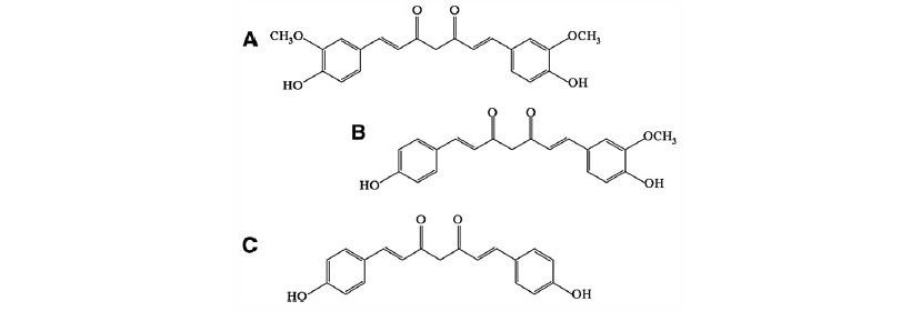 curcuma molecola attiva curcuminoidi