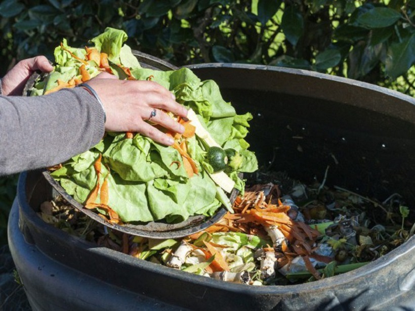 compostaggio riciclo alimenti spreco alimentare