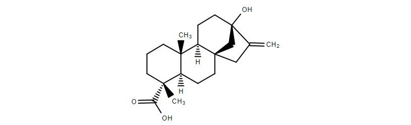 stevia formula dolcificante steviolo