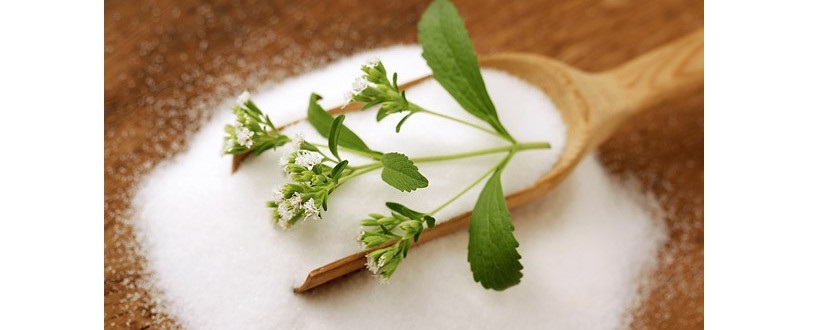 estratto foglie stevia zucchero dolcificante