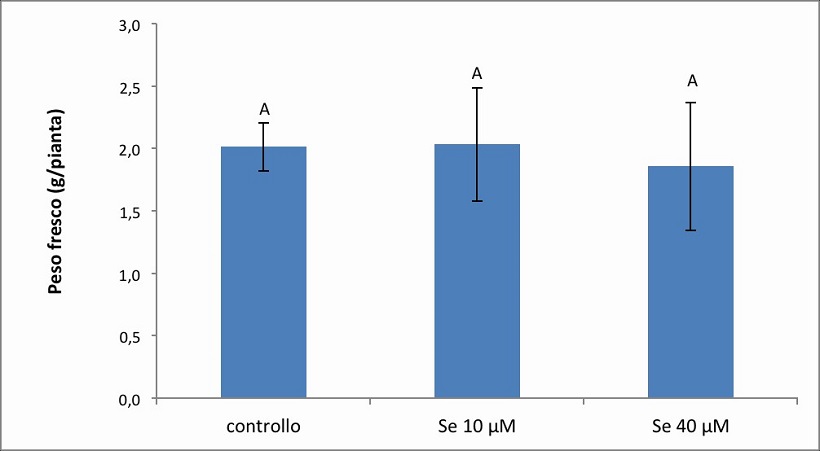 produttività valeriana selenio