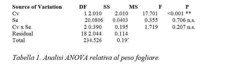 peso foglie valeriana