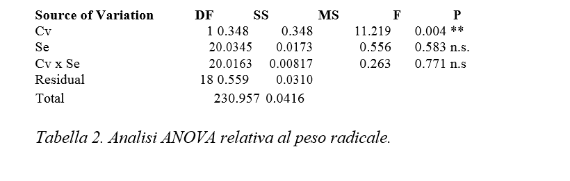 peso radici valeriana