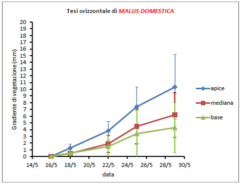 malus