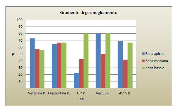 Gradiente di germogliamento delle tesi di Prunus persica