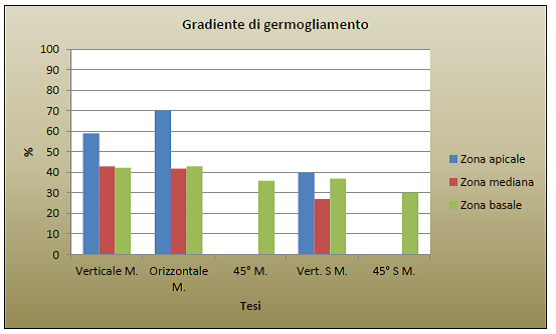 Gradiente di germogliamento delle tesi di Malus domestica