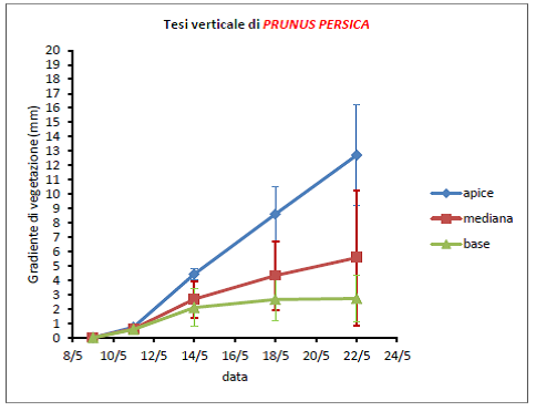 Gradiente di germogliamento delle tesi di Malus domestica