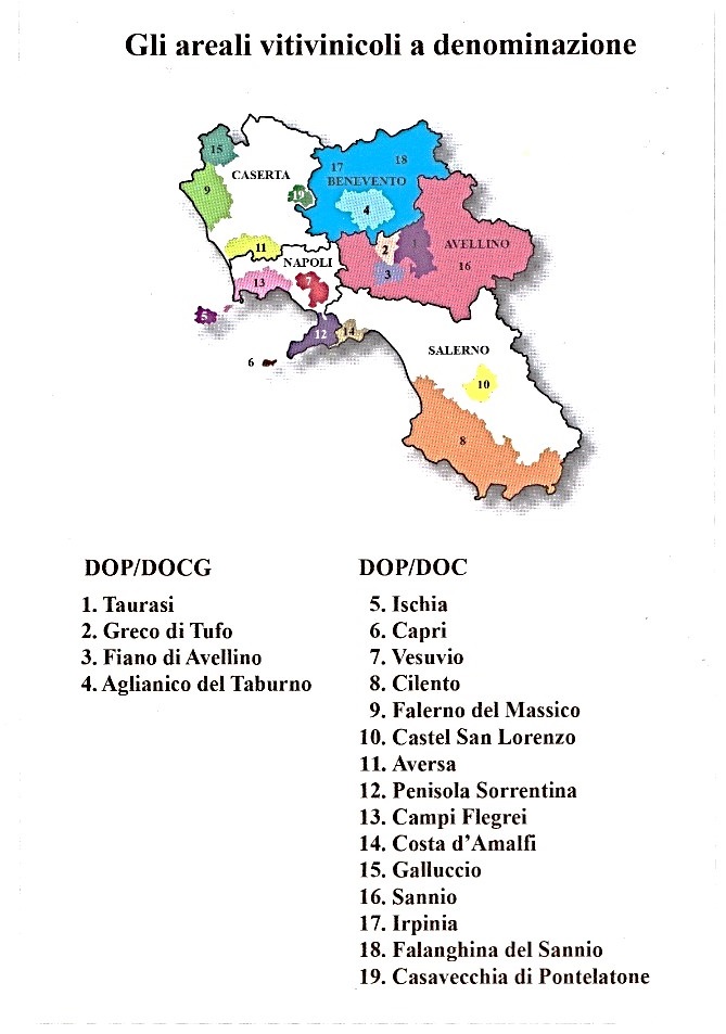 areale vino campania