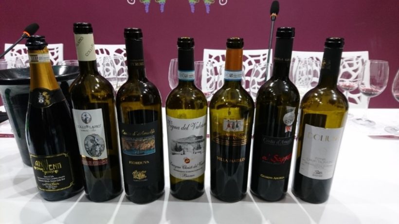 etichette vinitaly vino