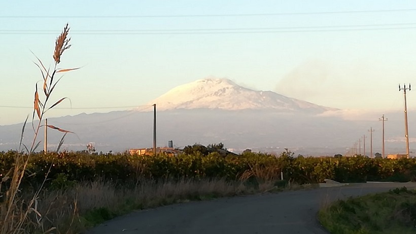 agrumeti etna arance