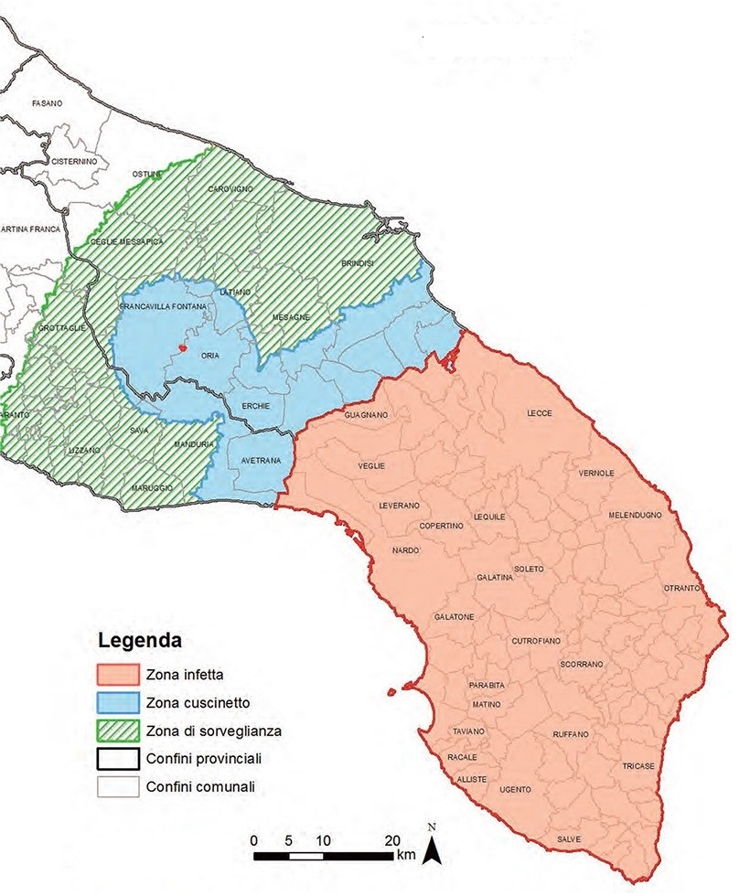 xylella area infetta