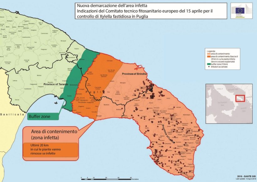 xylella fastidiosa cartografia zona infetta puglia