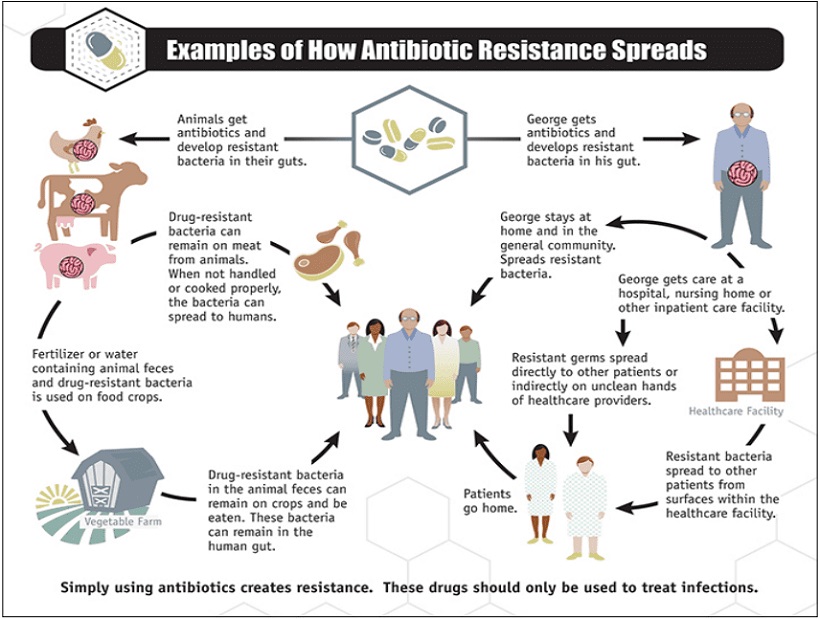 allevamenti resistenza antibiotici
