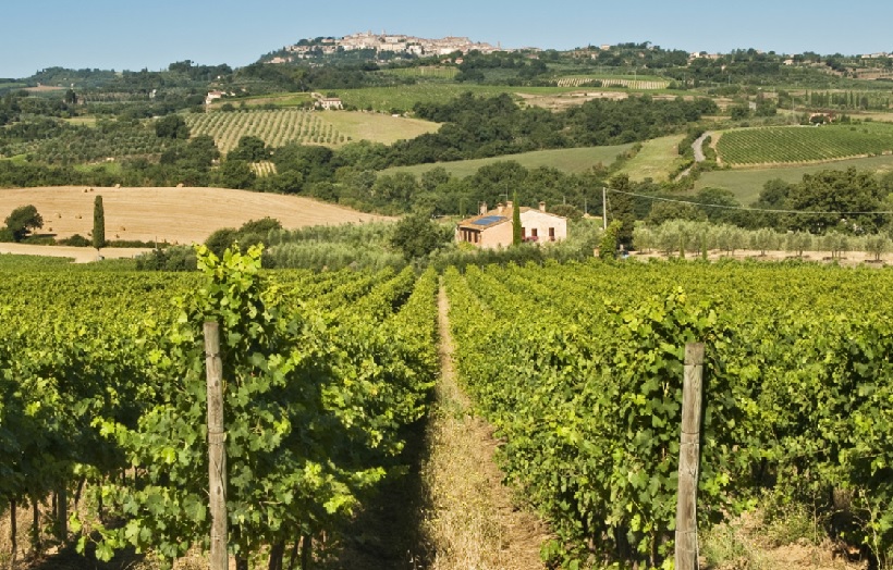 Vigneti di Nobile di Montepulciano