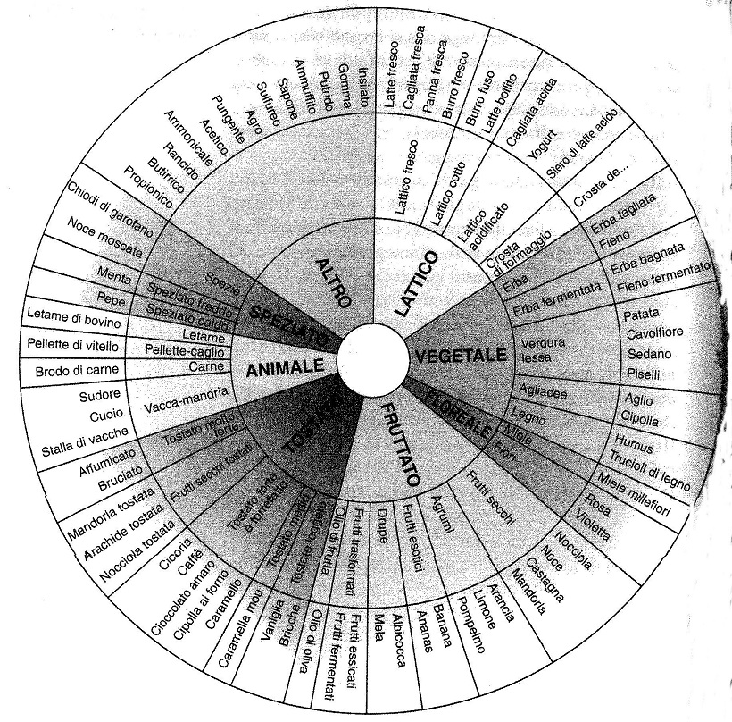 ruota descrittori odore aroma