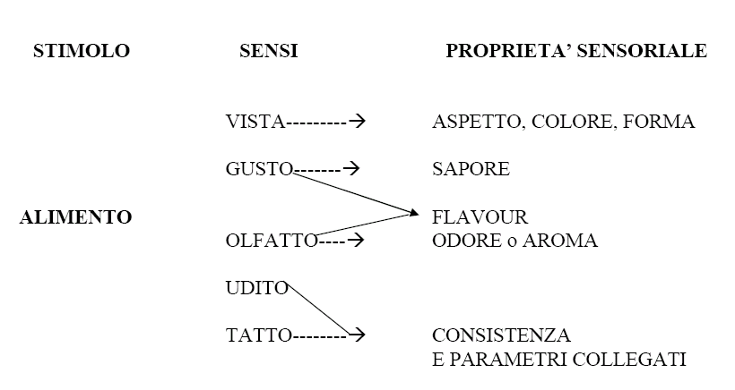 alimento stimolo sensoriale