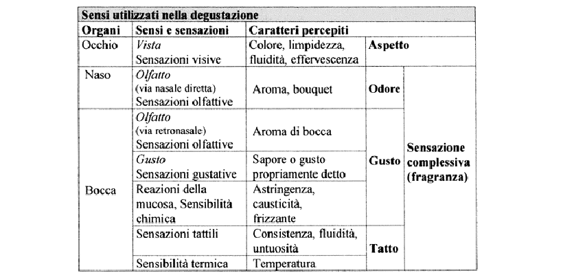 organi di gusto sensoriale