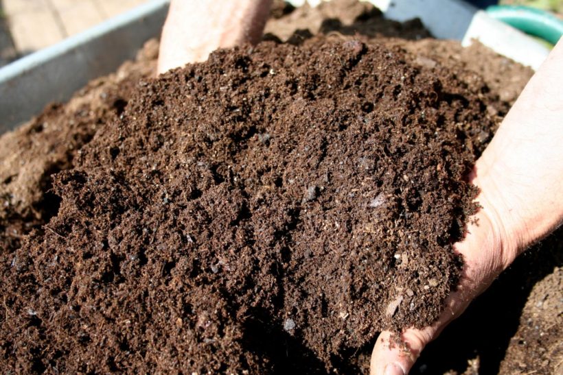 fertilizzare compost concime