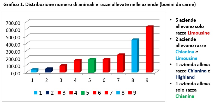 bovini allevamento numero