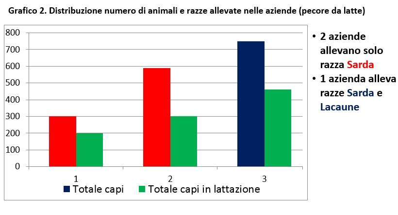 allevamento pecore da latte numero capi toscana